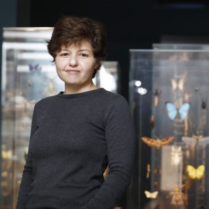 Dr. Elizabeta (Liz) Morgulis, Manager of the Diptera Collection and responsible for rearing live arthropods