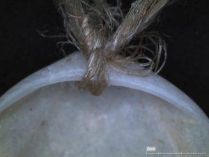 Shell tied with flax string