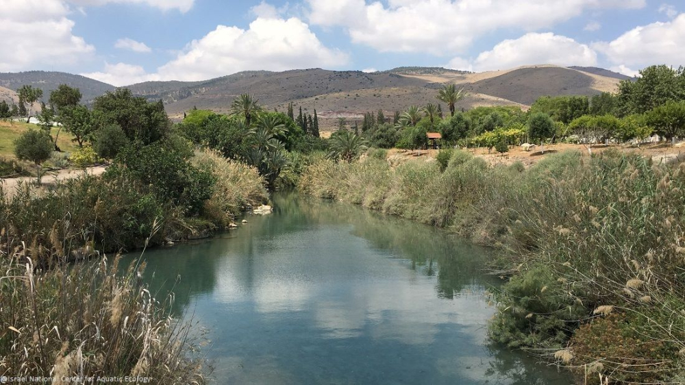 סליידר-מים-בששון-1