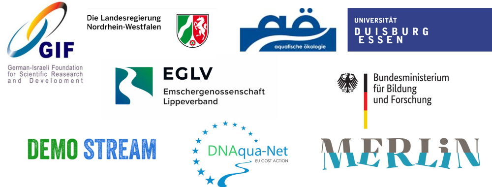 International-collaboration-logo-1