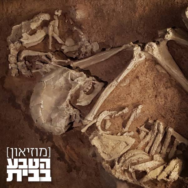האישה והכלב