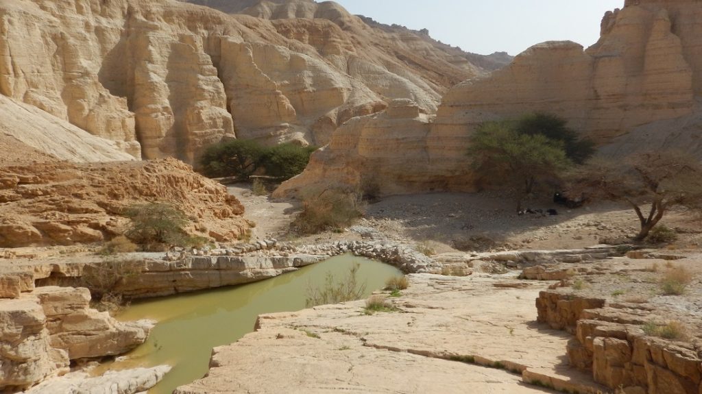 יחידת נוף טיפוסית בנחל מדברי. צילום: צוות המלא"ק