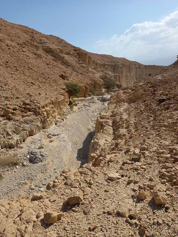 יחידת נוף טיפוסית בערוץ נחל אשלים. צילום: עדי רמות