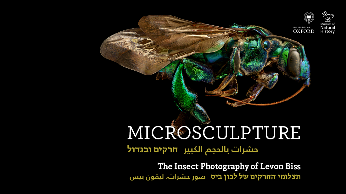 NM_SITE_HEADER_ENG_01