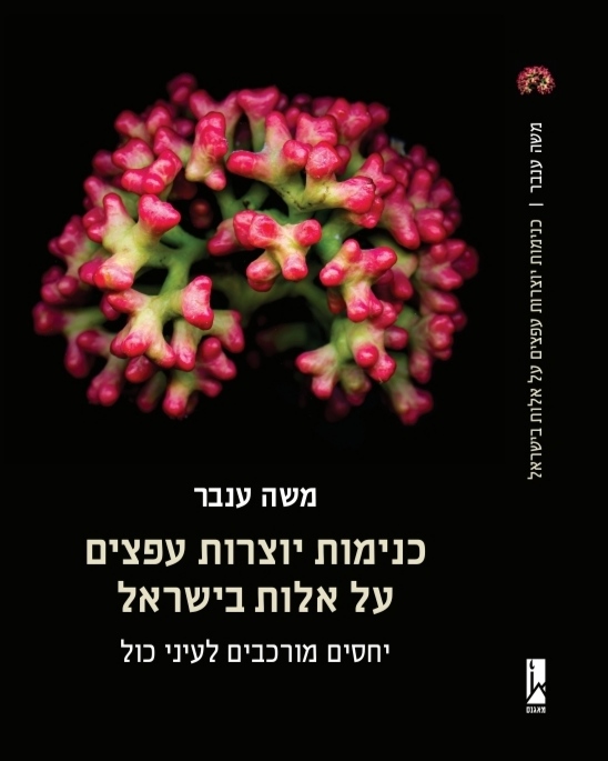 כריכת הספר